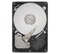 Seagate Constellation CS 3,5" - 2 TB (ST2000NC001) + Docking Station BEHEDEX32U2 - USB 2.0
