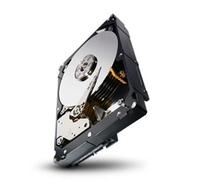 Seagate Constellation Es.3 St1000nm0033 1 Tb 3.5 Internal