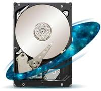 Seagate Constellation ES ST1000NM0011 - Festplatte - 1 TB - intern - 8.9 cm (3.5") - SATA 6Gb/s
