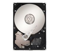 Seagate Constellation ES ST31000524NS - Hard disk interno da 1 TB, 8,9 cm, 7200 rpm, tempo di accesso 8,5 ms, cache 32 MB