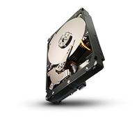 Seagate Constellation ST32000645SS-20PK disco rigido interno 3.5" 2000 GB SAS - dischi rigidi (3.5", 2000 GB, 7200 rpm)