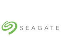 Seagate IronWolf ST10000VN000 disco rigido interno 10 TB 7200 Giri/min 256 MB 3.5" Serial ATA III