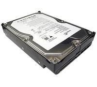 Seagate MicroMemory 2GB, DDR3 2GB DDR3 1333MHz Data Integrity Check (verifica integrità dati) memoria