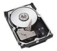 Seagate st-3146807lw 146 GB U320 10 K 4.7 ms 3.5 LP Cheetah 68PIN New Seagate ST3146807LW