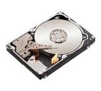 Seagate ST1000NC001 Constellation CS HardDisk