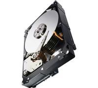 Seagate ST1000NM0033 Constellation ES.3 HardDisk