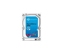 Seagate ST1000VN000 HDD Interno da 3.5", Nero