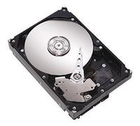 Seagate ST2000NM0033 HDD Interno da 3.5", Nero