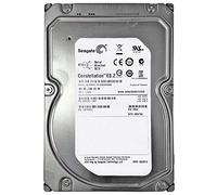 Seagate ST32000645SS Constellation ES.2 HardDisk