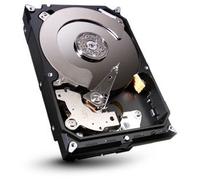 Seagate ST320DM000 Barracuda HardDisk