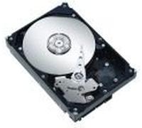 Seagate 'st33000651ss - Hard disk interno 3 TB, SAS, 3.5