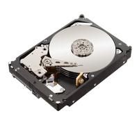 Seagate ST3500514NS HardDisk