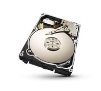 Seagate ST91000640NS CONSTELLATION.2 HardDisk