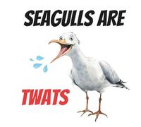SEAGULLS ARE TWATS | A Hilariously Rude Guide to the Greedy, Chip-Stealing Bastards of the Beach: Funny, Sweary, Bold Book Ideal For Teenagers and Adults