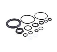 Seal Kit: 36 FLOAT NA Rebuild