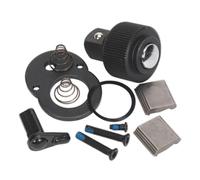 Sealey 0.6cmD Cricchetto Kit Riparazione per AK6672.01 Pera Testa AK667214.RK