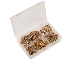 Sealey AB022LP Acciarino Pin Assortimento 50pc Metrico