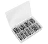 Sealey Acciaio Inox Autofilettanti Vite Set 700pc Partitioned Scatola AB0700SSST