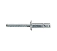 Sealey Acciaio Strutturali Rivetto Zincato 6.3 x 32mm Confezione Di 100 MB6332