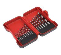 Sealey AK3715W Brad Punto Legno Set Punte Trapano 15pc
