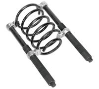 Sealey AK3845 Compressore per Molle Set 2pc Resistente 2500kg/Coppia