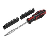 Cacciavite E Set di Punte 21pc Gripmax - Sealey AK4329 Nuovo