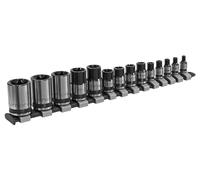 Sealey Torx Star Presa Set 14pc 0.6cm 1cm & 1.3cmSq Drive E4-E24 Nero AK618B