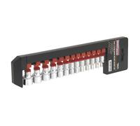 Sealey Totale Drive Presa Set 13pc 0.6cmD Specchio Finire su Un Binario AK69813