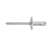 Sealey Alluminio Multi-Grip Rivetto Grande Flangia 4.8 x 13mm Pacco Di 200