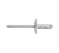 Sealey Alluminio Multi-Grip Rivetto Grande Flangia 4.8 x 19mm Confezione D 200