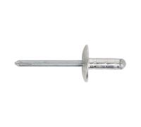Sealey Alluminio Multi-Grip Rivetto Grande Flangia 4.8 x 27mm Pacco Di 100