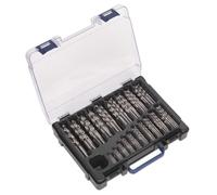Sealey HSS Pienamente Terra Trapano Punta Assortimento 170pc 1-10mm DBS170FG