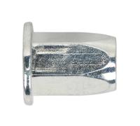 Sealey TIFHM6 Inserto Filettato (Rivetto Dado) M6 Pieno Esagonale Standard Pacco