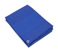 Sealey Leggero PE Telo 6.10 X 12.19M Blu Con Occhielli In Alluminio TARP6012