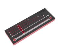 Sealey Premier Set Chiavi Combinate ad Anello Doppio 5pz Vassoio EVA AK63110