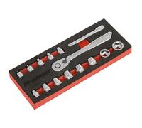 Sealey Profilo Basso Metrico Presa Set 15pc 0.6cmD Platino Serie AK5783