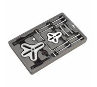 Sealey PS977 Volante E Bilanciere Set Estrattore 18pc