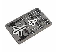 Sealey PS977 Volante E Bilanciere Set Estrattore 18pc