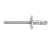 Sealey Alluminio Multi-Grip Rivetto Grande Flangia 4.8 x 19mm Pacco Di 200