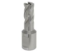 Sealey Rotabor Cutter HSS Ø12Mm - Profondità Di Taglio 25Mm RBHSS12S