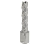 Sealey Rotabor Cutter HSS Ø13Mm - Profondità Di Taglio 50Mm RBHSS13L