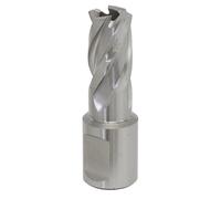 Sealey Rotabor Cutter HSS Ø15Mm - Profondità Di Taglio 25Mm RBHSS15S