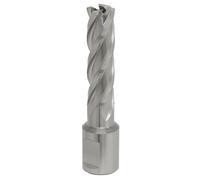 Sealey Rotabor Cutter HSS Ø15Mm - Profondità Di Taglio 50Mm RBHSS15L