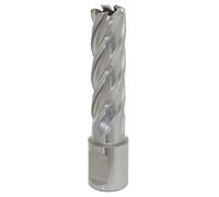 Sealey Rotabor Cutter HSS Ø16Mm - Profondità Di Taglio 50Mm RBHSS16L