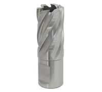 Sealey Rotabor Cutter HSS Ø20Mm - Profondità Di Taglio 25Mm RBHSS20S