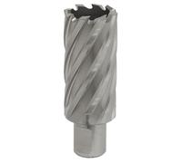 Sealey Rotabor Cutter HSS Ø30Mm - Profondità Di Taglio 50Mm RBHSS30L