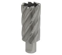 Sealey Rotabor Cutter HSS Ø32Mm - Profondità Di Taglio 50Mm RBHSS32L