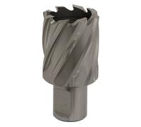 Sealey Rotabor Cutter HSS Ø33Mm - Profondità Di Taglio 25Mm RBHSS33S