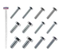 Sealey SCREWSET Clip Strappo Affare - Set Viti