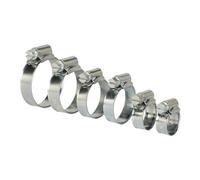 Assortimento Di Fascette Per Tubo 30 Pezzi Ø8-29mm Zincato - Sealey SHCS1 Nuovo